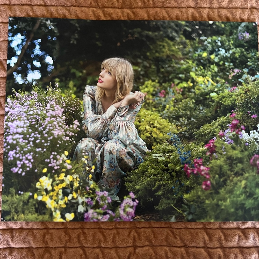 RARE Taylor Swift Lover era lithograph